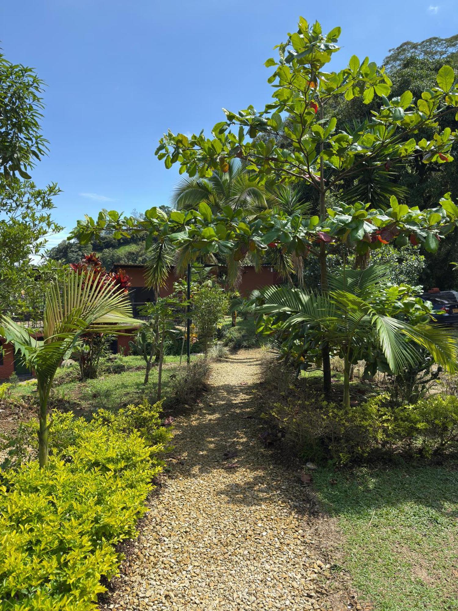 Jaragual Hostel "Eco Hostal" La Vega  Dış mekan fotoğraf